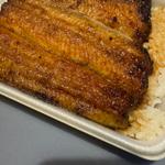 ウナギ弁当