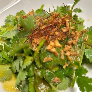 パクチーサラダ(フォーシンタスキッチン(はちまん餃子))