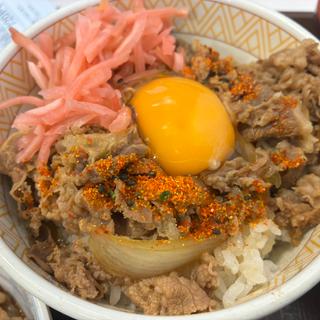 牛丼（並）