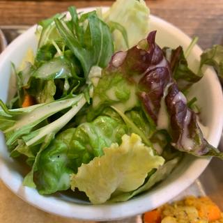 本日の2種カレー(B)