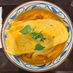 だし玉肉づつみうどん　並