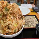 かき揚げ丼セットそば