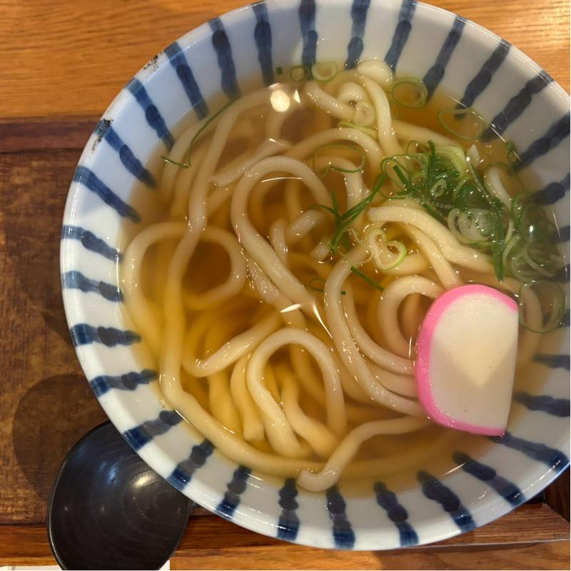 かけうどん(伝統自家製麺 いけや食堂)