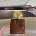 【クリスチャン•カンプリニ】カプチーノガナッシュ BOX1 〜ラシーヌより〜