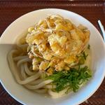 かけうどん野菜かき揚げ