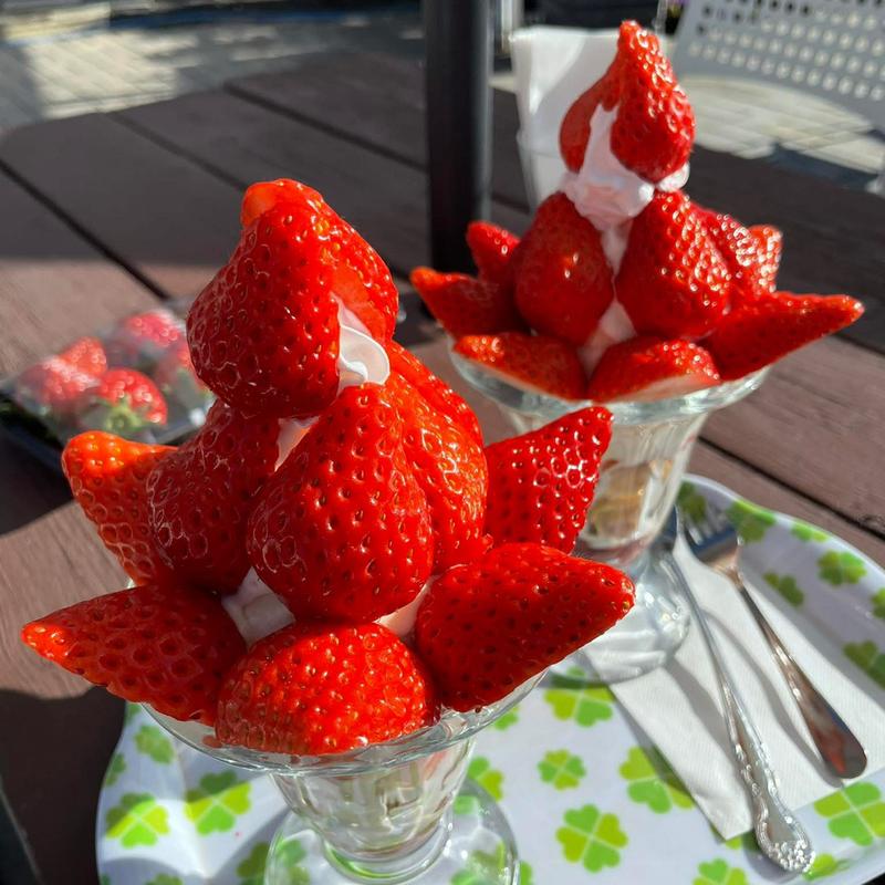 いちごﾊﾟﾌｪ(いちごカフェ（【旧店名】土方洋蘭農園カフェ）)