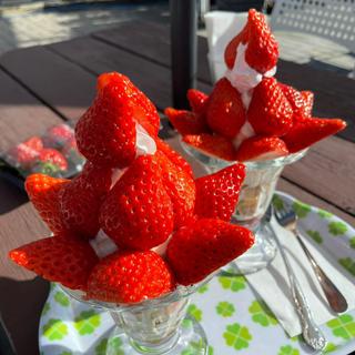いちごﾊﾟﾌｪ(いちごカフェ（【旧店名】土方洋蘭農園カフェ）)