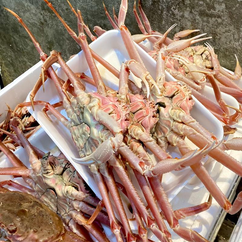 活ずわいがに3枚(寿司屋のだ 天満市場店)