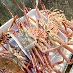 活ずわいがに3枚(寿司屋のだ 天満市場店)