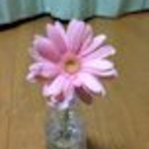 user_76494635