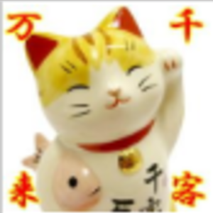 user_49583142
