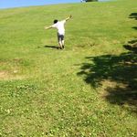 glad_mango_bv0