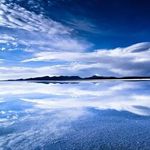 plain_wings_nl5
