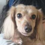 plain_squid_mb2