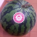 best_crab_ua2