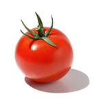 tomatier