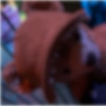land_over15