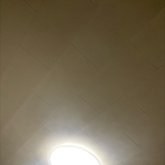 happy_leek_zs8