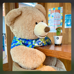 kuma_123