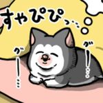 merry_peach_qg0