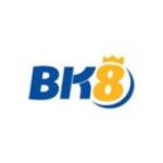 bk8netvinfo